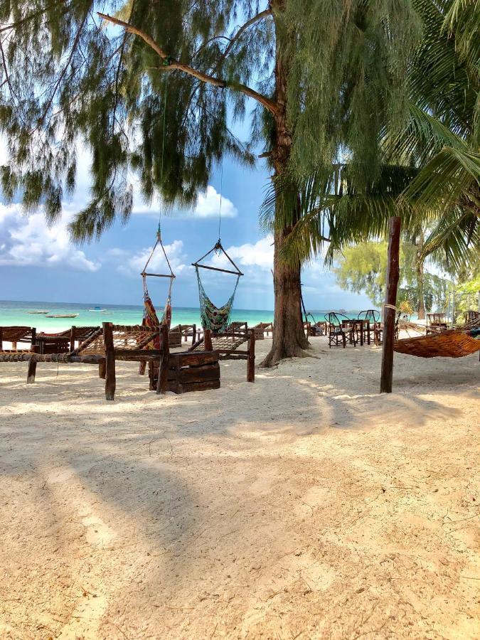 Simba Beach Zanzibar Kiwengwa  Exteriör bild