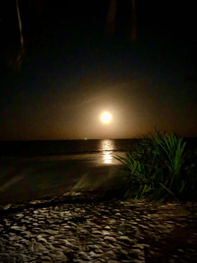 Simba Beach Zanzibar Kiwengwa  Exteriör bild