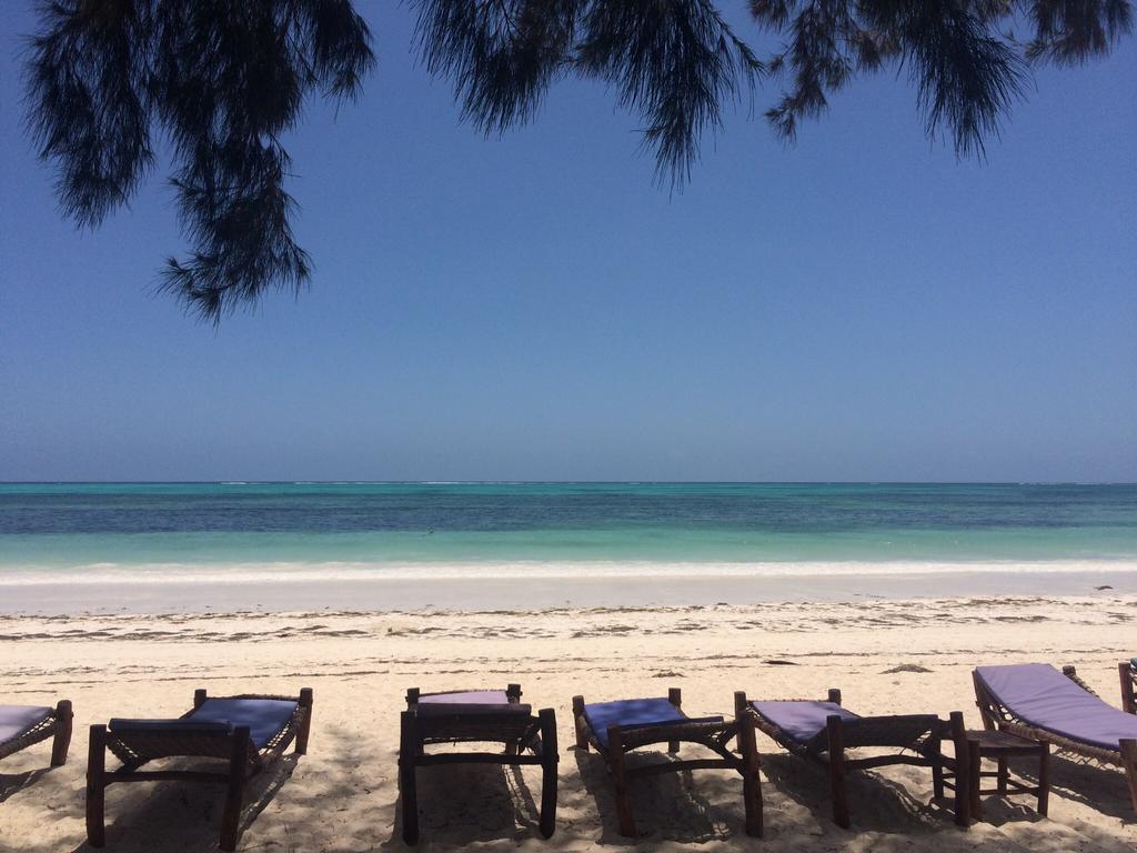 Simba Beach Zanzibar Kiwengwa  Exteriör bild