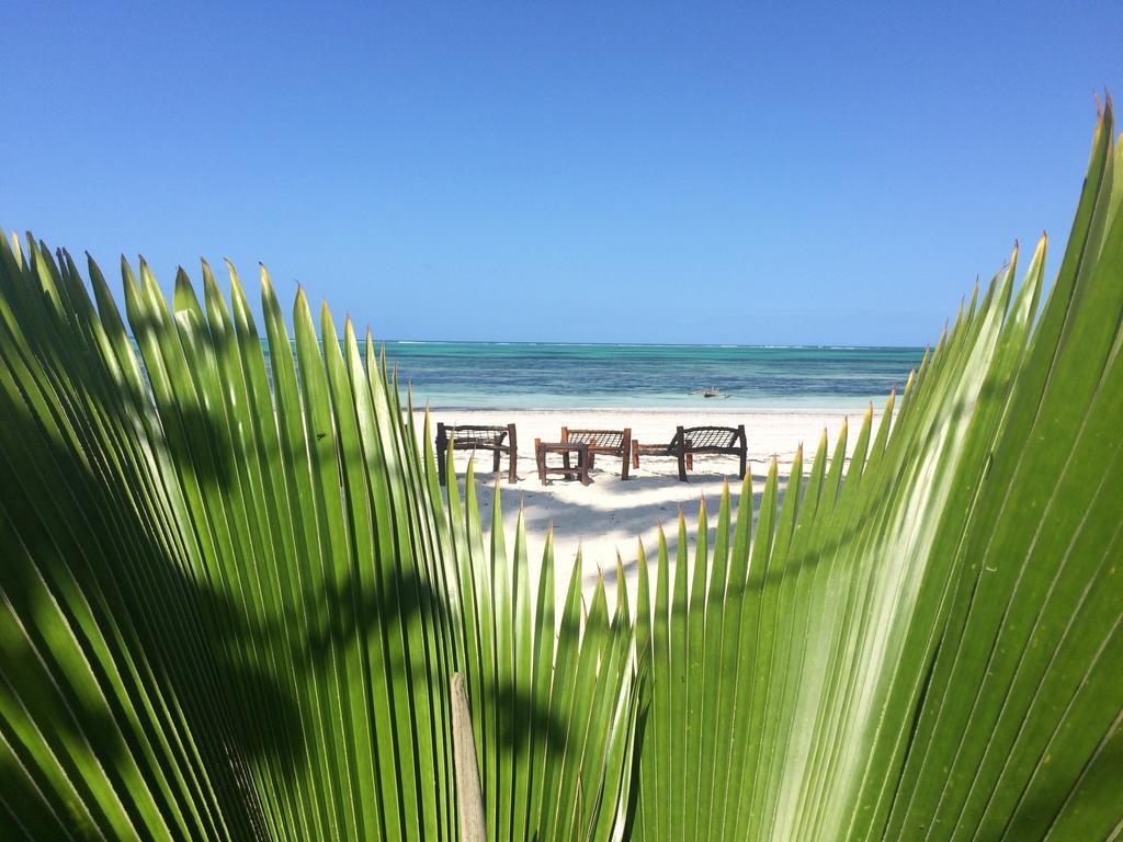 Simba Beach Zanzibar Kiwengwa  Exteriör bild