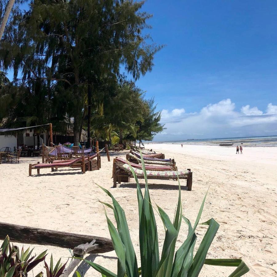 Simba Beach Zanzibar Kiwengwa  Exteriör bild